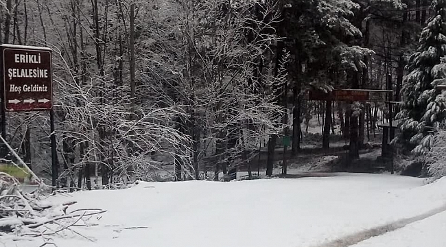 Yalova'ya yılın ilk karı düştü