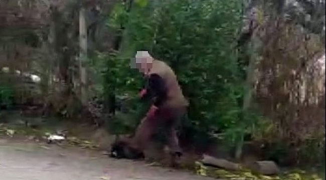 Yavru köpekleri annelerinden ayıran belediye görevlilerine uyaran gence ilginç tepki