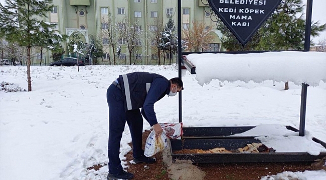Yenişehir Belediyesinden sokak hayvanlarına barınak ve mama takviyesi