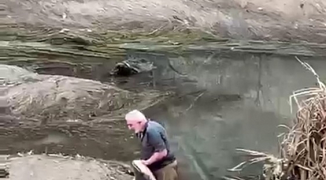 Yeşilırmak'ta boyu kadar balığı böyle yakaladı