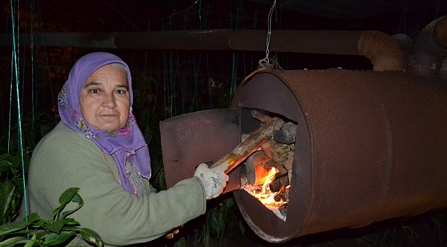 Zirai don uyarısı kadın üreticileri de uyutmadı