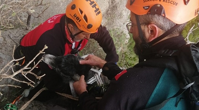 130 metrede 1 hafta mahsur kalan keçi için nefes kesen kurtarma operasyonu