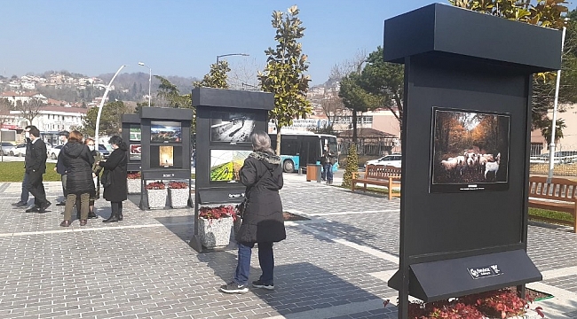 2. Beykoz Fotoğraf Yarışması ödül töreni gerçekleşti