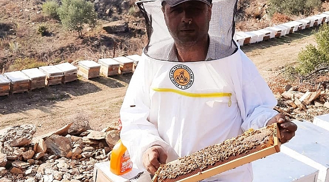 2021 yılı arı fiyatları belirlendi