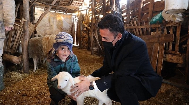6 büyükbaş hayvanla başladı, sayıyı 5'e katladı
