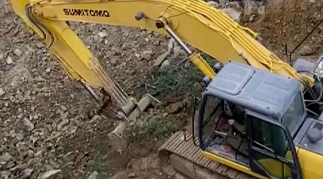 - 70 yıllık ağacı kesip, toprağın altına gömdüler