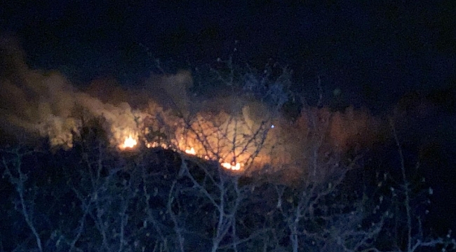 Akçakoca'da orman yangını