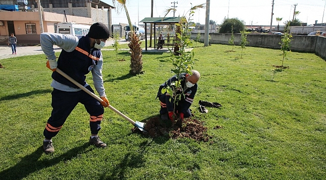Akdeniz'deki parklar bakımdan geçiriliyor