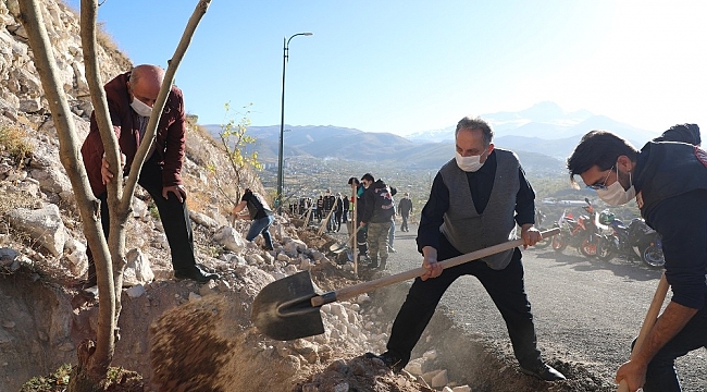 Ali Dağı'na 500 adet meyve ağacı daha