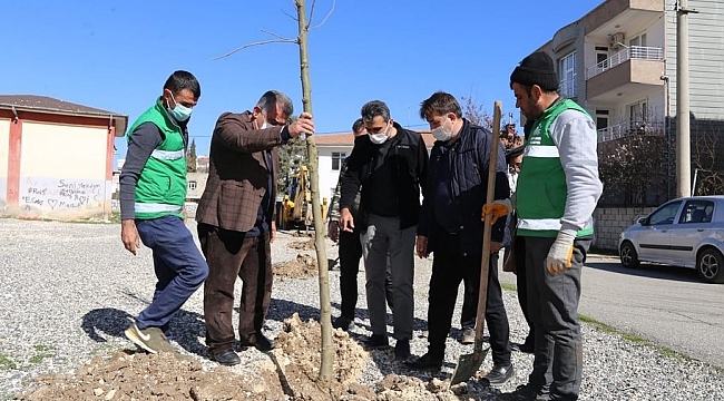 Alitaşı Mahallesi yeşilleniyor