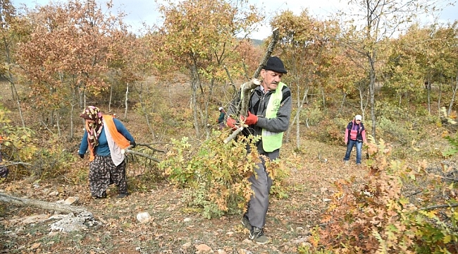 Alpu'da orman yatırımları yüzleri güldürüyor