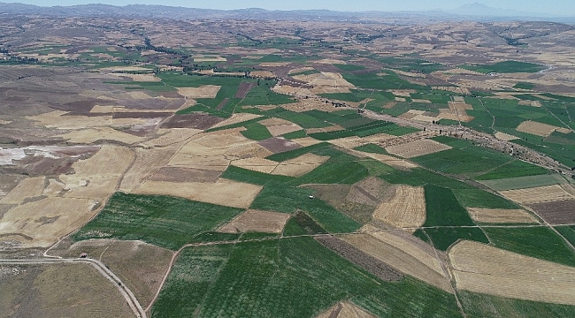 Altınyayla'da arazi toplulaştırma çalışmaları