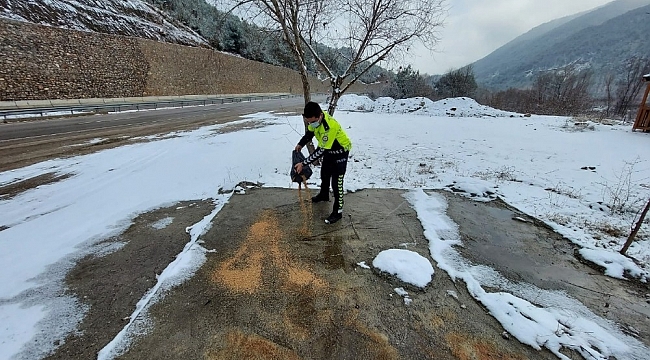Amasya'da polisler, yaban hayvanları için doğaya yem ve ekmek bıraktı