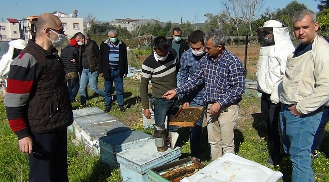 Arıcılara kış uykusundan uyanan arılarla uygulamalı eğitim