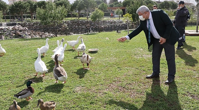 Atatürk Kent Parkı 'Kuş Cenneti'ne döndü