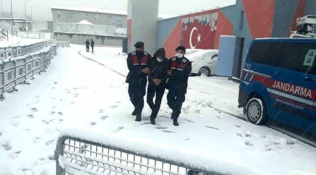 Ateşli silah ve mermileri ülkeye sokmaktan aranan şahıs yakalandı