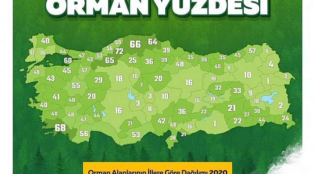 Aydın'ın yüzde 40'ı ormanlarla kaplı