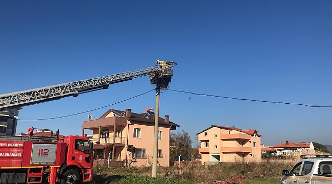 Ayvalık'ta göçmen kuşlara itfaiye ve Milli Parklar şefkati