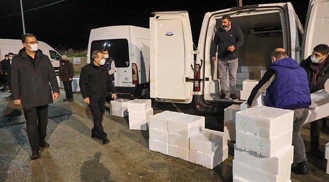 Balık mezadında 'vali' sürprizi