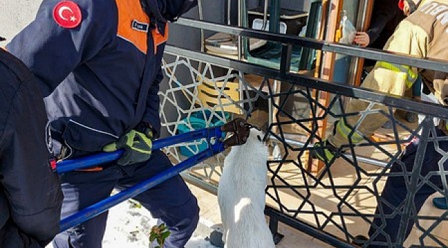 Balkon korkuluklarına sıkışan köpeği itfaiye kurtardı