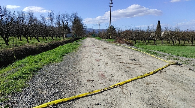 Başından vurulmuş halde yol kenarında bulunmuştu, olayda 1 şahıs tutuklandı