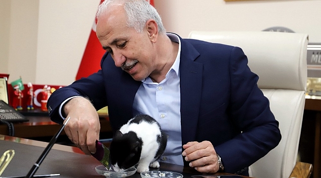 Başkan Gültak, engelli kediyi misafir etti
