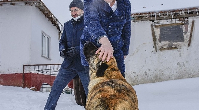Başkan Özkan'ın hayvan sevgisi
