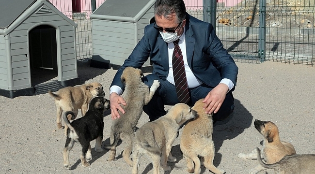 Başkan Savran, Hayvan Kasabasında incelemelerde bulundu