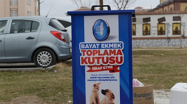 Bayat ekmekler sokak hayvanlarına mama olacak