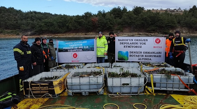BOTAŞ'tan Saros Körfezi'nde gerçekleştirdiği proje alanına 100 bin ağaç