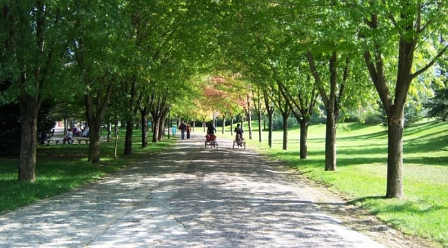 Bursa Botanik park 15 gün daha kapalı kalacak