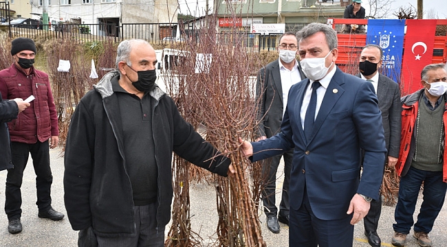 Bursa'da toprağa Büyükşehir bereketi