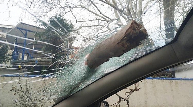 Bursa'da lodostan devrilen ağaç otomobilin camına ok gibi saplandı