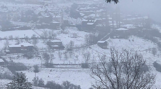 Bursa'nın dağ ilçeleri kara teslim