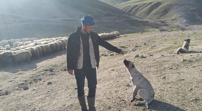 Çalınan köpeğini bulup getirene 20 bin lira ödül verecek