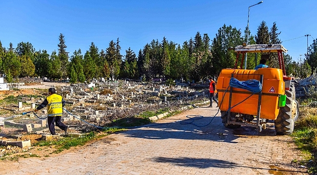 Ceylanpınar ilçe genelinde ilaçlama çalışmalarına başlandı