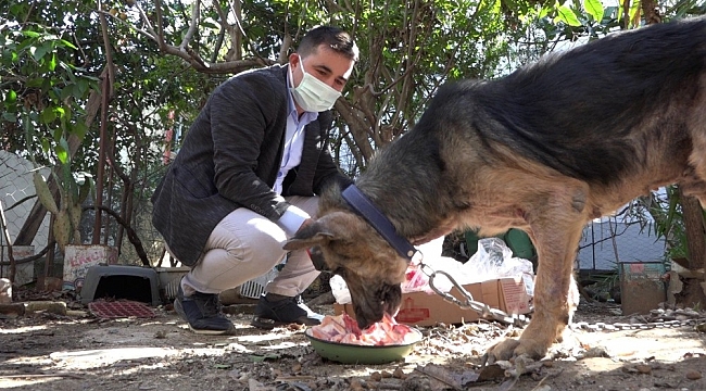 Cezaevinden gelen dilekçe hayvanları ölümden kurtardı