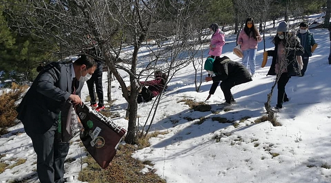 Çiçekdağı'nda kuşlar için dağlara yem bırakıldı