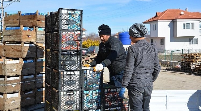 Coğrafi işaretli tonlarca karyağdı armudu alıcı bekliyor