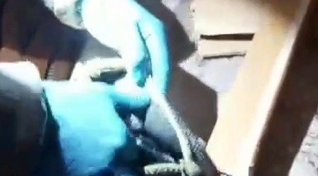 Çöp konteynerinde mahsur kalan kedi kurtarıldı