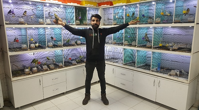 Dengbej türküleri ile kuşları motive ediyor