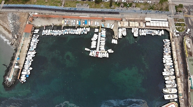 Deniz, balık yerine salya ile taştı
