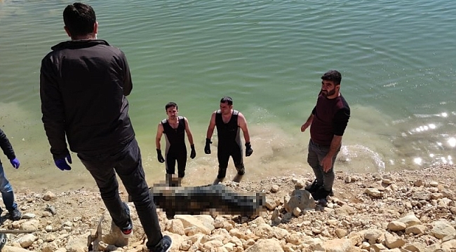 Dicle Nehrinde erkek ceset bulundu