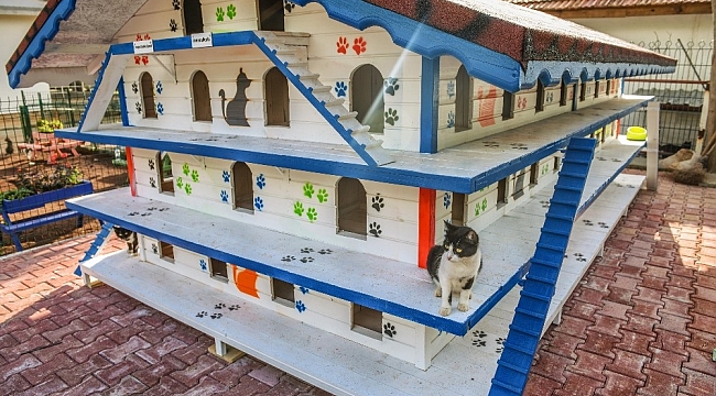 DokumaPark'a kedi apartmanı