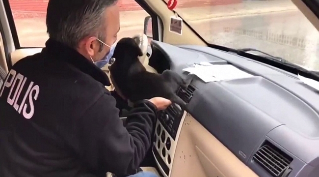 Donmak üzere olan yavru köpeğe polis şefkati