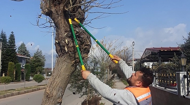 Döşemealtı'nda 120 parkta budama ve bakım yapıldı