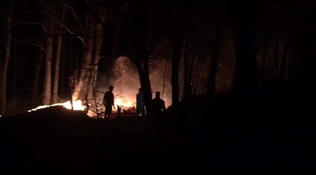 Düzce'deki orman yangını kontrol altına alındı