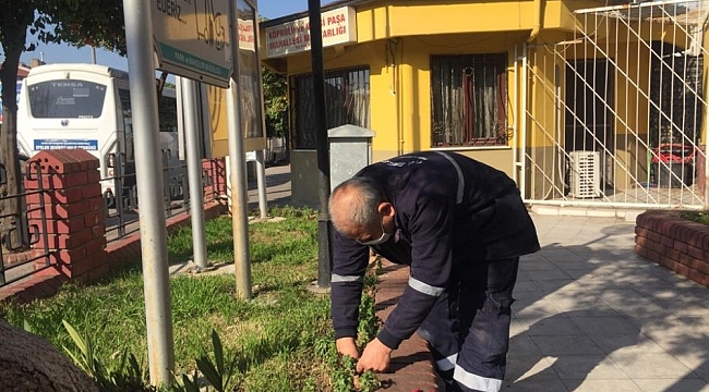 Efeler Belediyesi, muhtarlıkları çiçeklendirdi