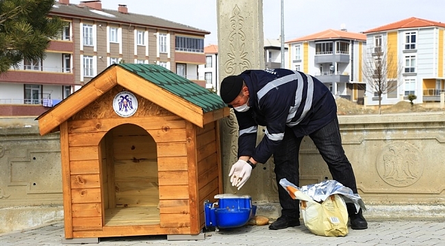 Erzincan'da sokak hayvanları için üretilen ahşap barınaklara mama bırakıldı