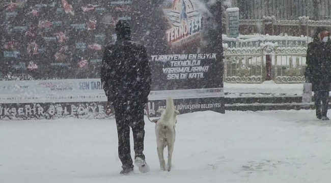 Erzurum sabaha beyaz örtüyle uyandı